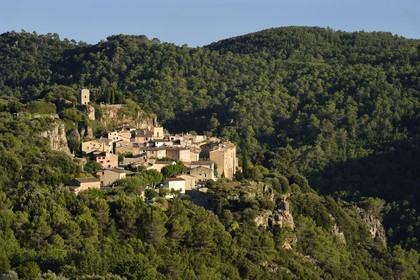 France, Var, the Dracenie, village of Chateaudouble