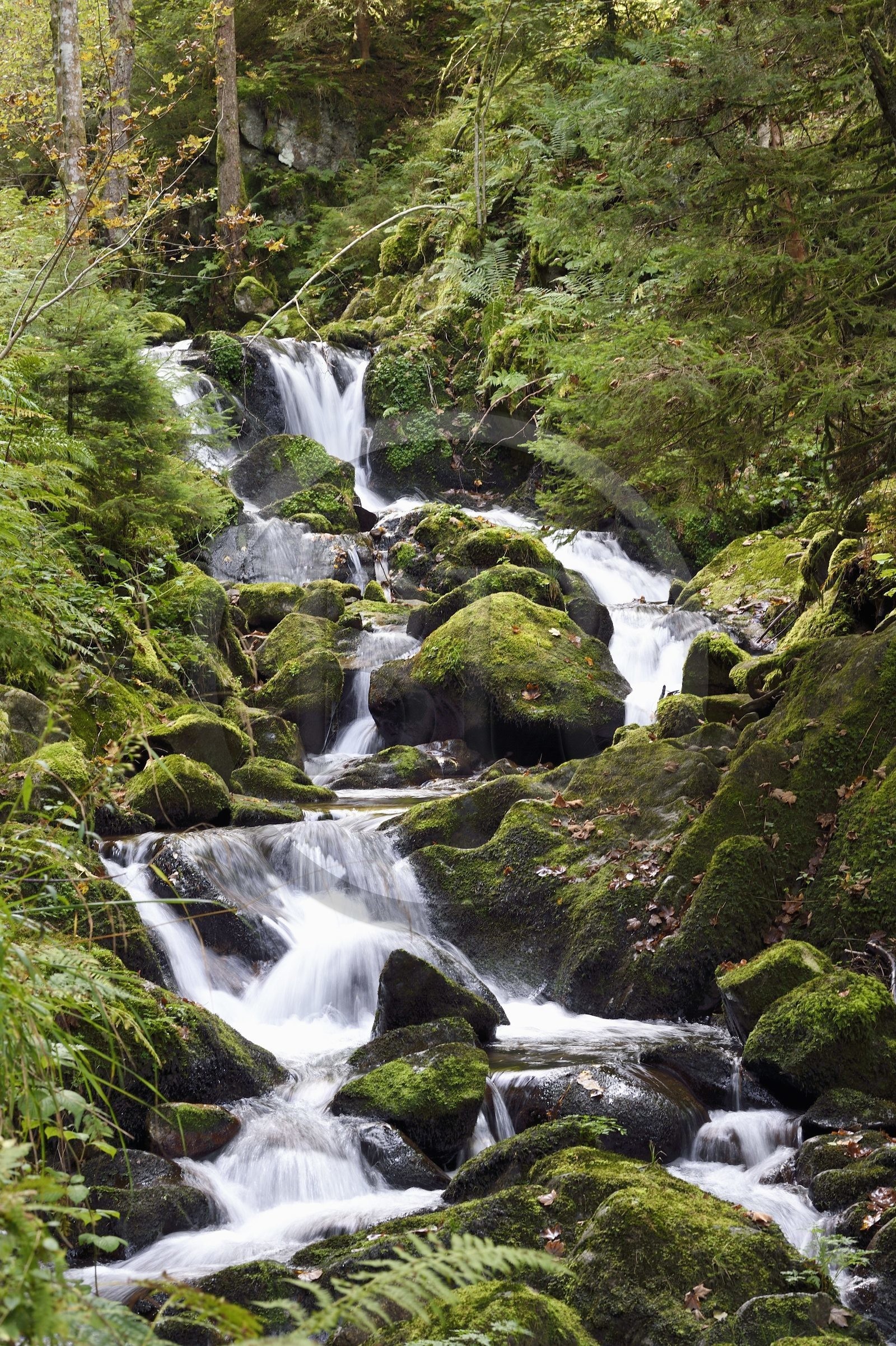 France, Vosges (88), Le Valtin, village de la haute-vallée de la Meurthe, cascade