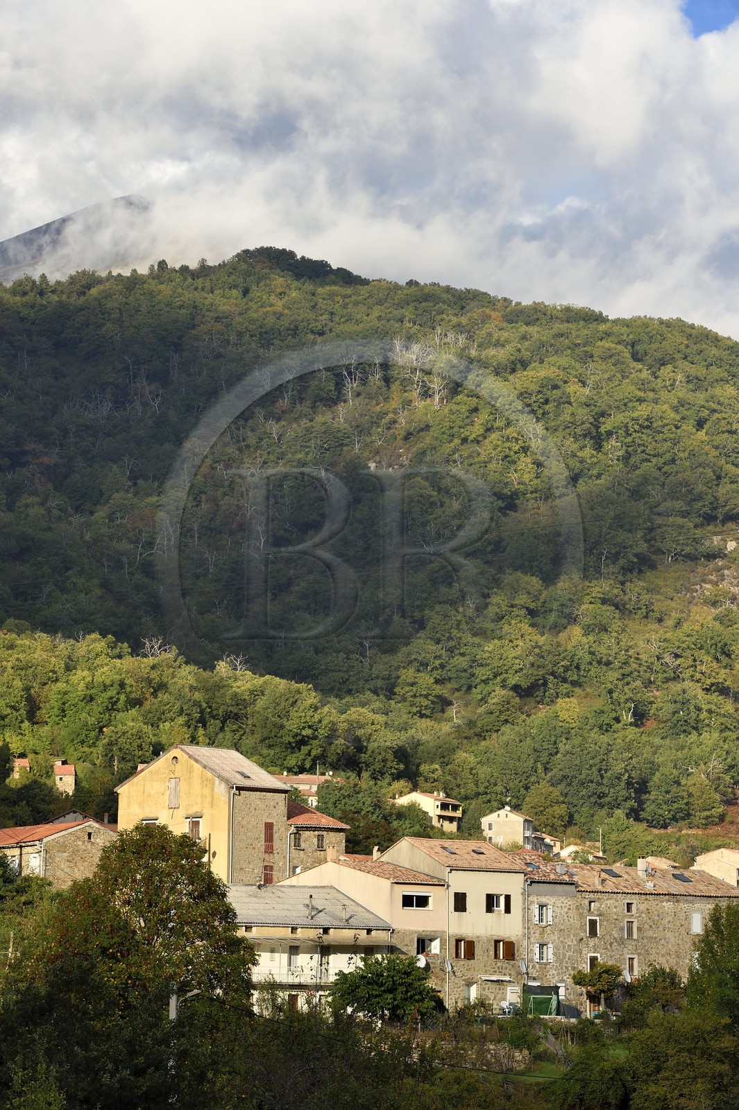 France, Corse-du-Sud (2A), Vallée du Prunelli, Bastelica