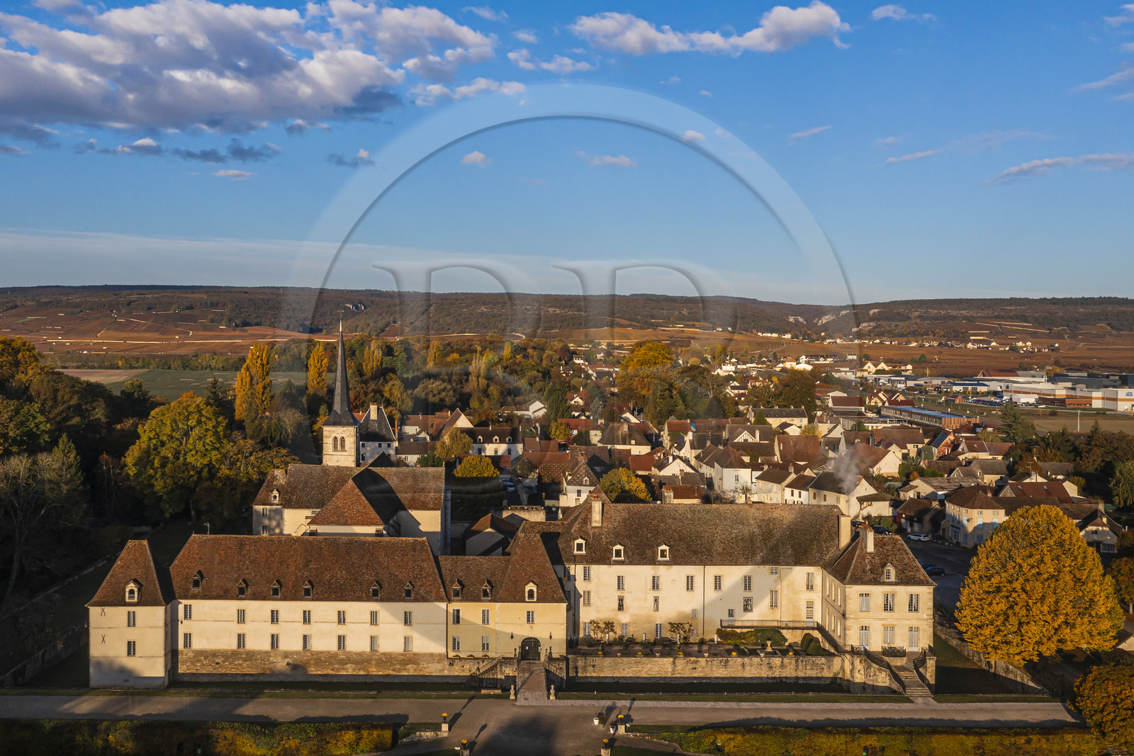 France, Côte-d'Or (21), Paysage culturel des climats de Bourgogne classés Patrimoine Mondial de l'UNESCO, Route des Grands Crus, Gilly-les-Citeaux, le Chateau de Gilly, hotel de luxe et restaurant, les vignobles en arrière plan (vue aérienne)