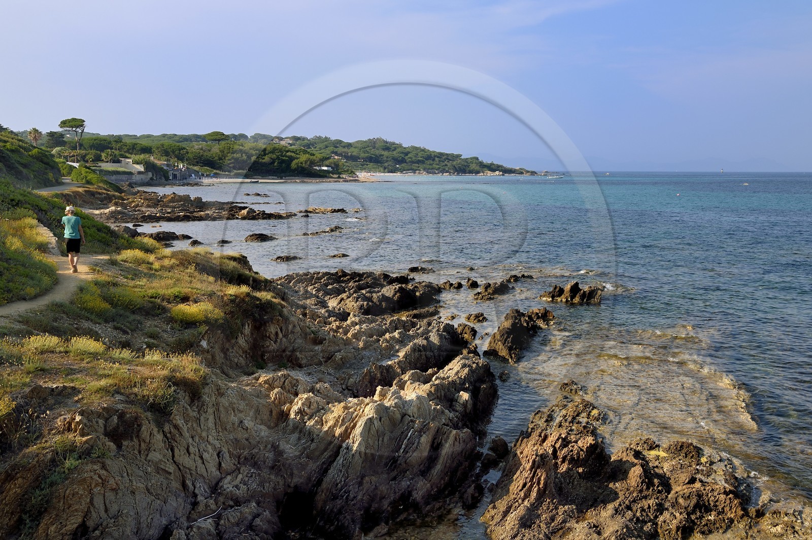 France, Var (83), Saint-Tropez, la côte vers la plage de Capon