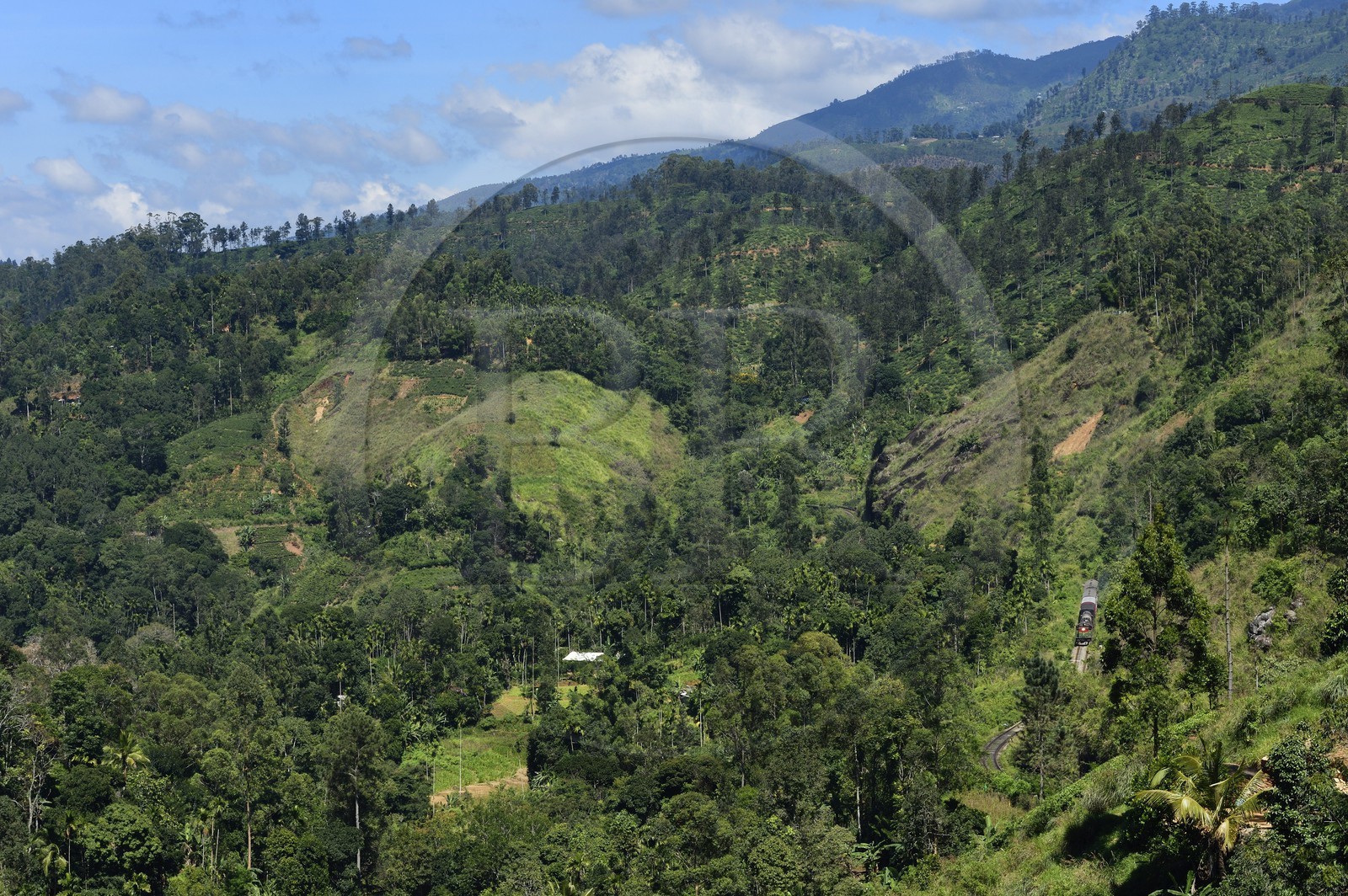 Sri Lanka, Province d'Uva, train sur la voie de chemin de fer dans la région montagneuse de la culture du thé non loin de Ella (Badulla district)