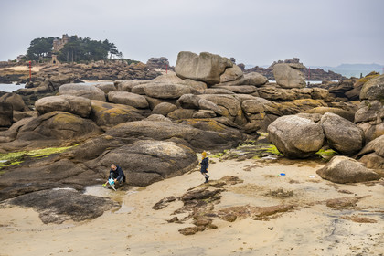 France, Cotes-d'Armor, Cote de Granit Rose, Perros-Guirec, Ploumanac'h rocks and the castle of Costaérès on its island in the background