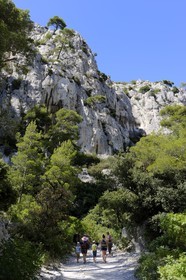 France, Bouches du Rhone, Cassis, the path leading to the En Vau creek (calanque)