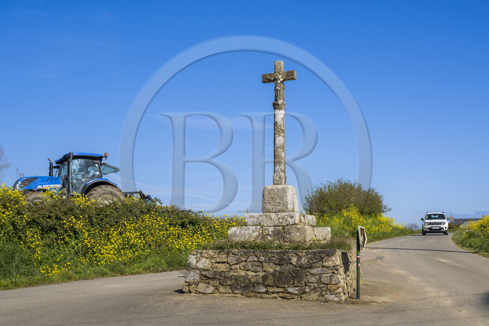 France, Côtes-d'Armor (22),