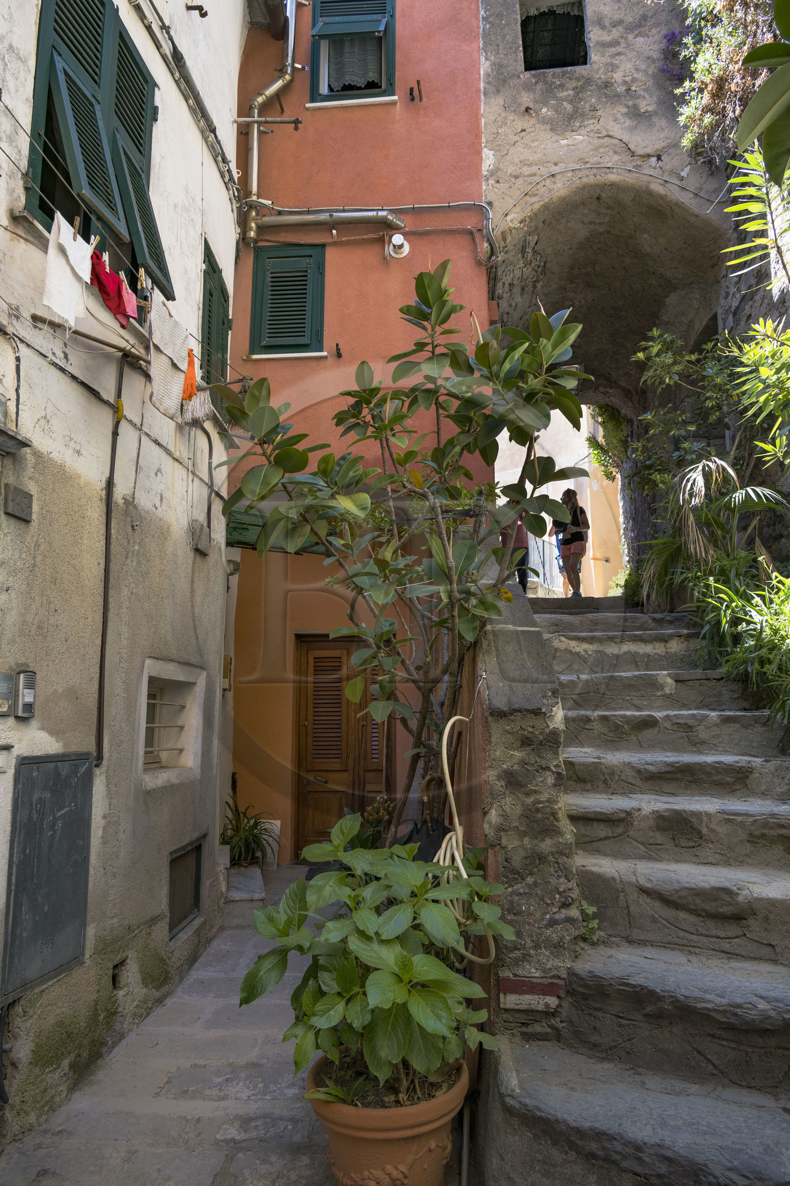 Italie, Ligurie, Cinque Terre, parc national des Cinque Terre classé Patrimoine Mondial de l'UNESCO, village de Vernazza,