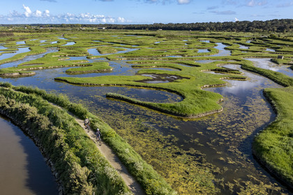France, Vendée (85), Talmont-Saint-Hilaire, marais de la Guittière dans l'arrière pays de la Pointe du Payré, cycliste sur la piste de la véloroute Vendée Vélo Tour et Vélodyssée au passage du Cul d’Ane, marais aménagés pour la pisciculture de dorades, mulets et anguilles (vue aérienne)