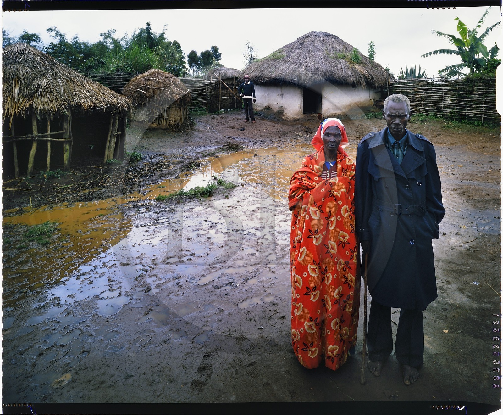 Burundi, Bujumbura Province, Ijenda area, Tutsi pastoralists old couple in their rugo (traditional farm) (4x5 reversal film reproduction)