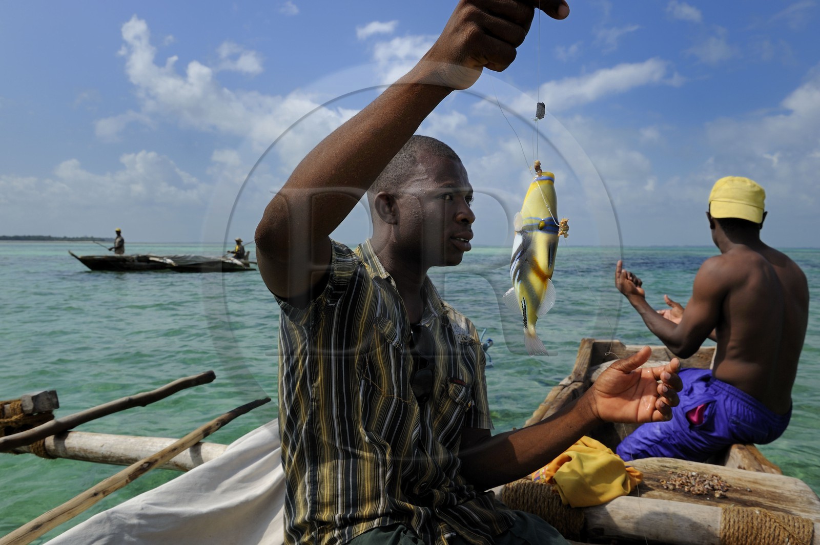 Tanzanie, archipel de Zanzibar, île de Unguja (Zanzibar), côte est, baie de Chwaka vers Michamvi, pêche à la ligne d'un Baliste picasso (Rhinecanthus aculeatus) sur un dhow (boutre traditionnel)