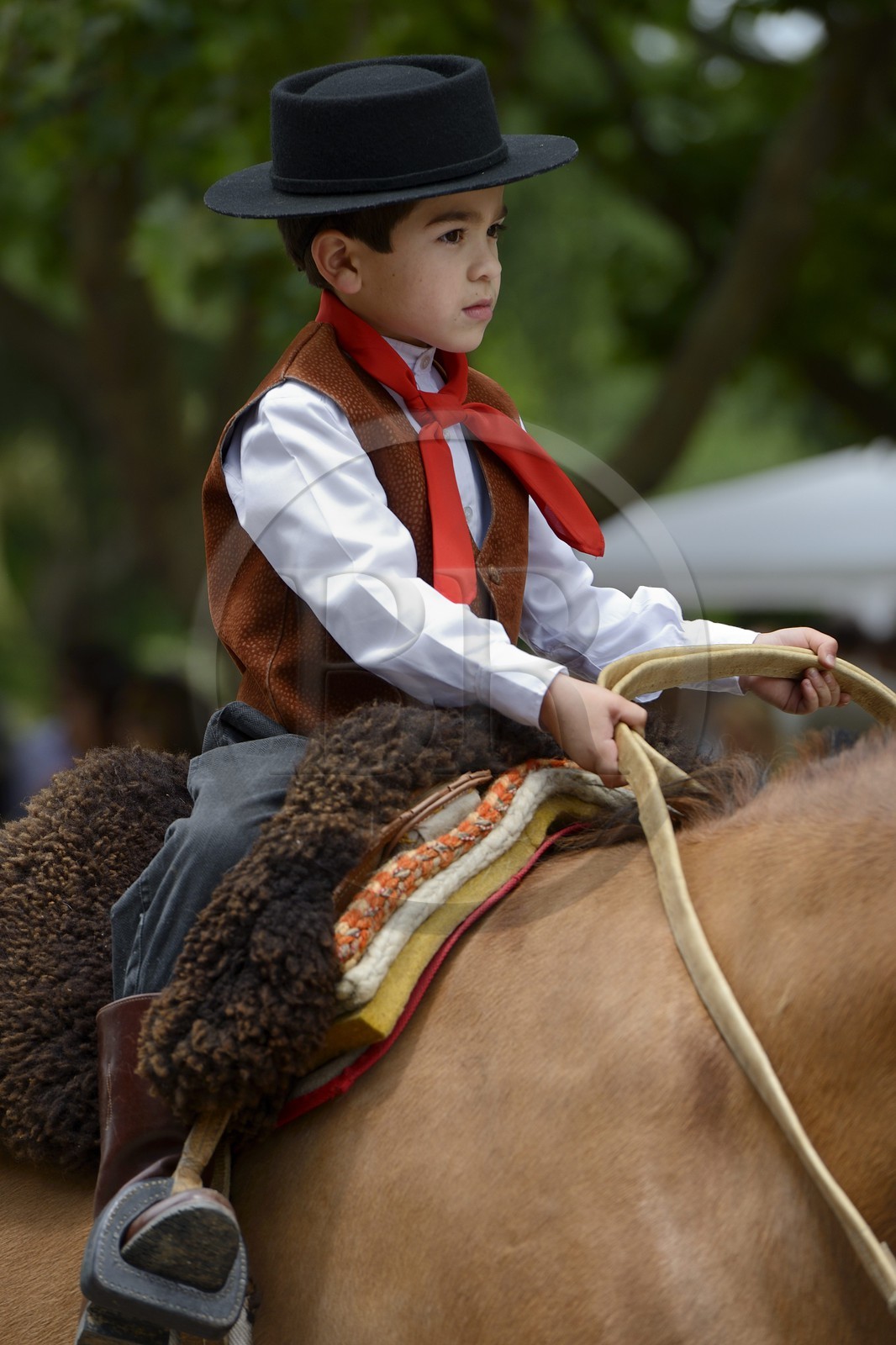 Argentine, province de Buenos Aires, San Antonio de Areco, fête du Jour de la Tradition (Dia de la Tradition), très jeune gaucho à cheval défilant en habit traditionnel