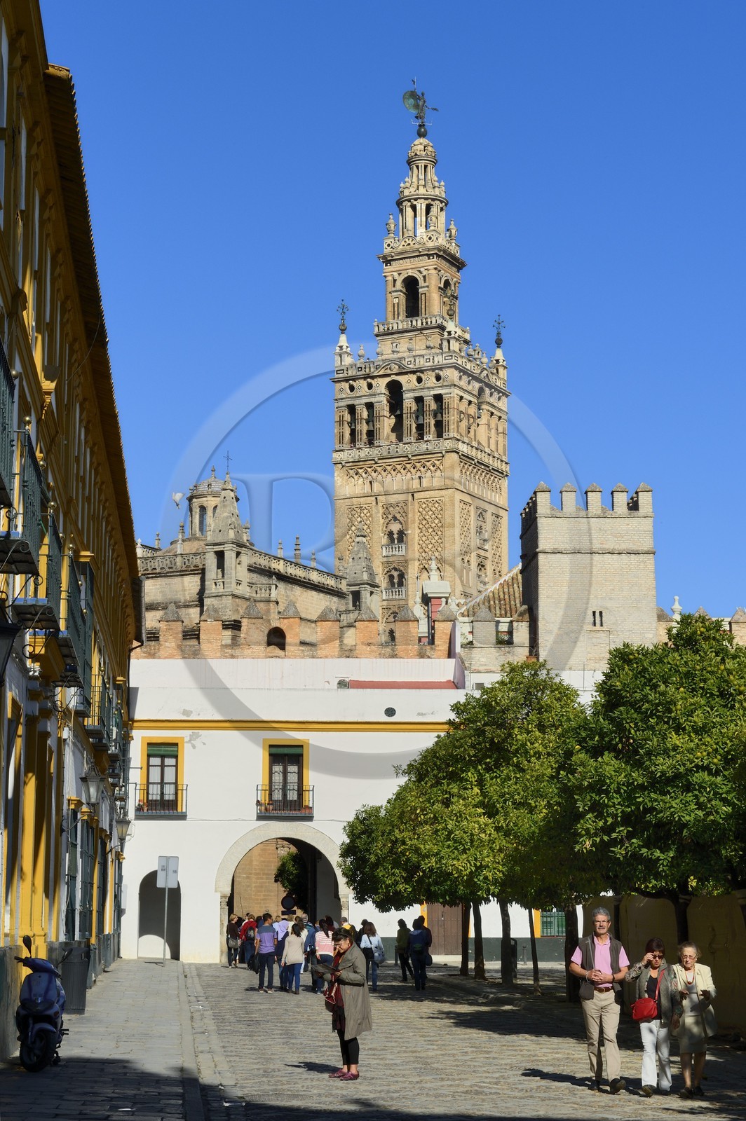 Espagne, Andalousie, Séville, quartier de Santa Cruz, la Giralda, classé Patrimoine Mondial de l'UNESCO, vue depuis la Cour des Drapeaux (Patio de Banderas)