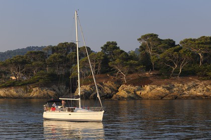 France, Var (83), Iles d'Hyères, parc national de Port-Cros, île de Porquerolles