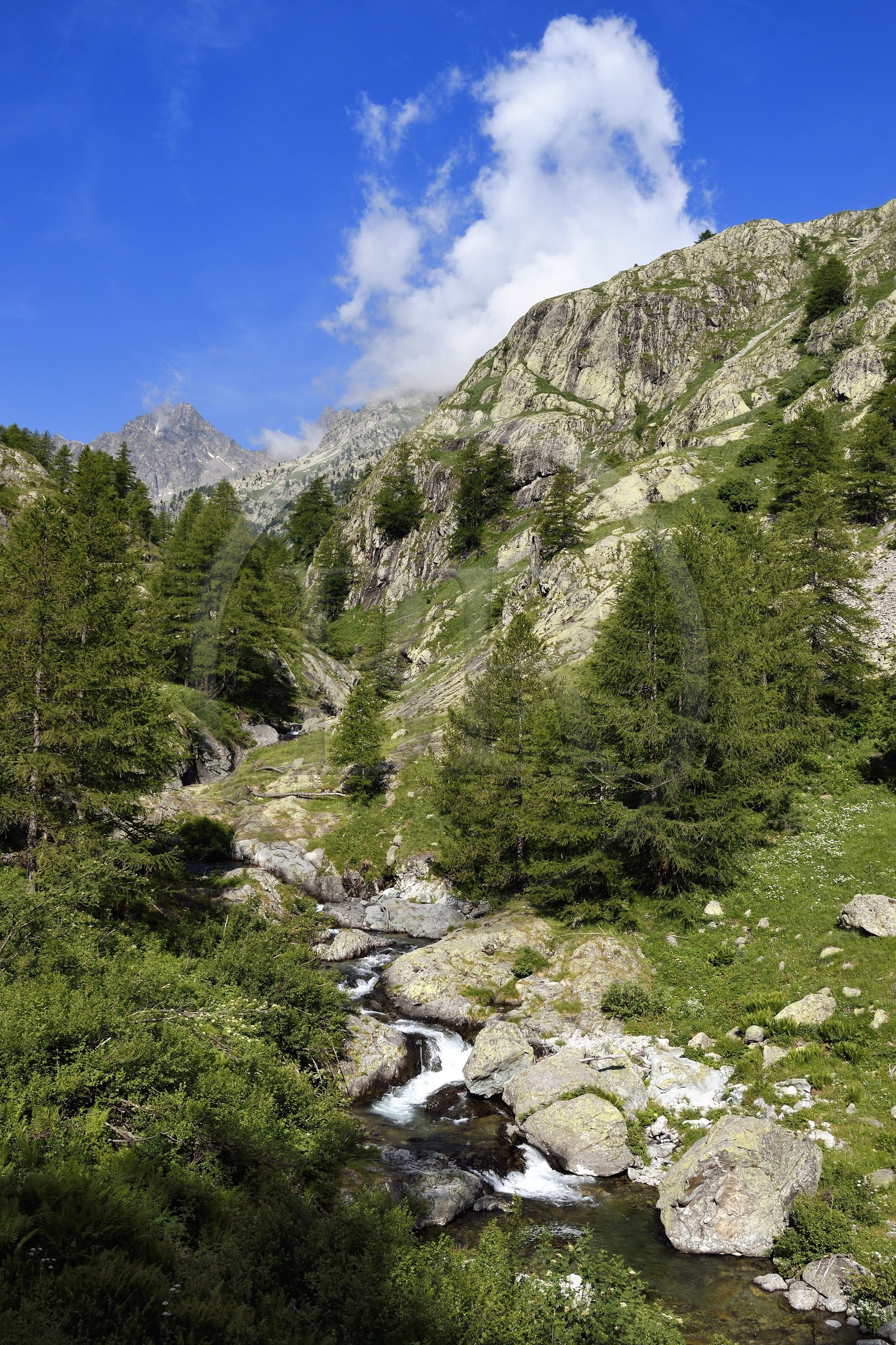 France, Alpes-Maritimes (06), parc national du Mercantour, vallée de la rivière Valmasque et sommets de la haute Valmasque