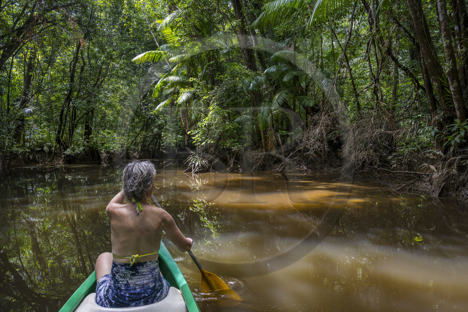 France, French Guiana, Kourou, Maripas camp in the rainforest, canoe trip to discover a crique (creek), a small river, tributary of the Kourou River