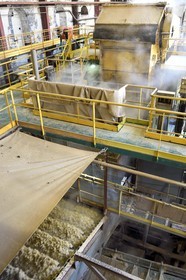 France, Ile de la Reunion, Saint-Louis, l'usine sucrière du Gol, bagasse résultant de la transformation de la canne à sucre