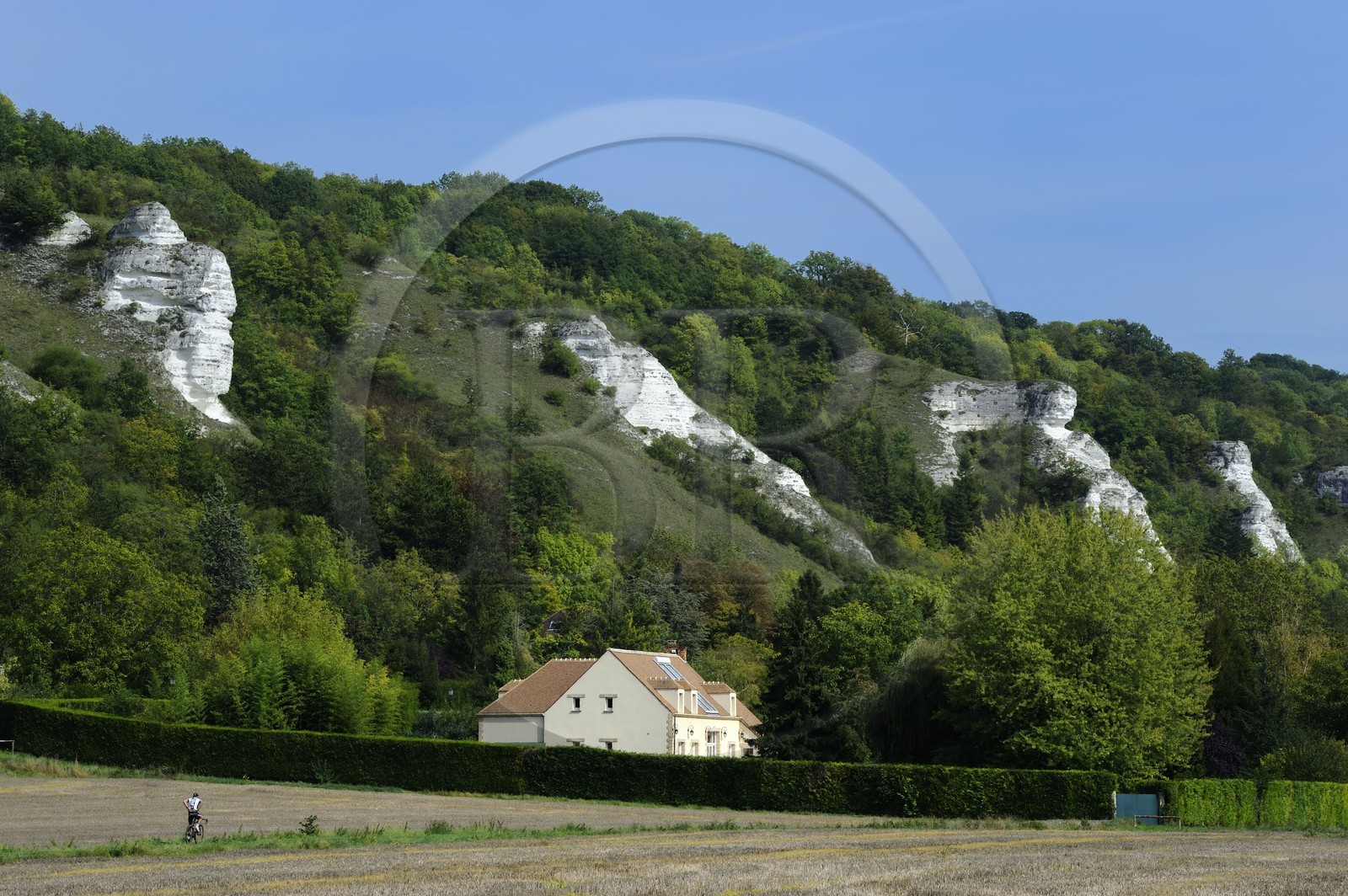 France, Val-d'Oise (95), parc naturel du Vexin français, Haute-Isle, falaises calcaires qui bordent la vallée de la Seine