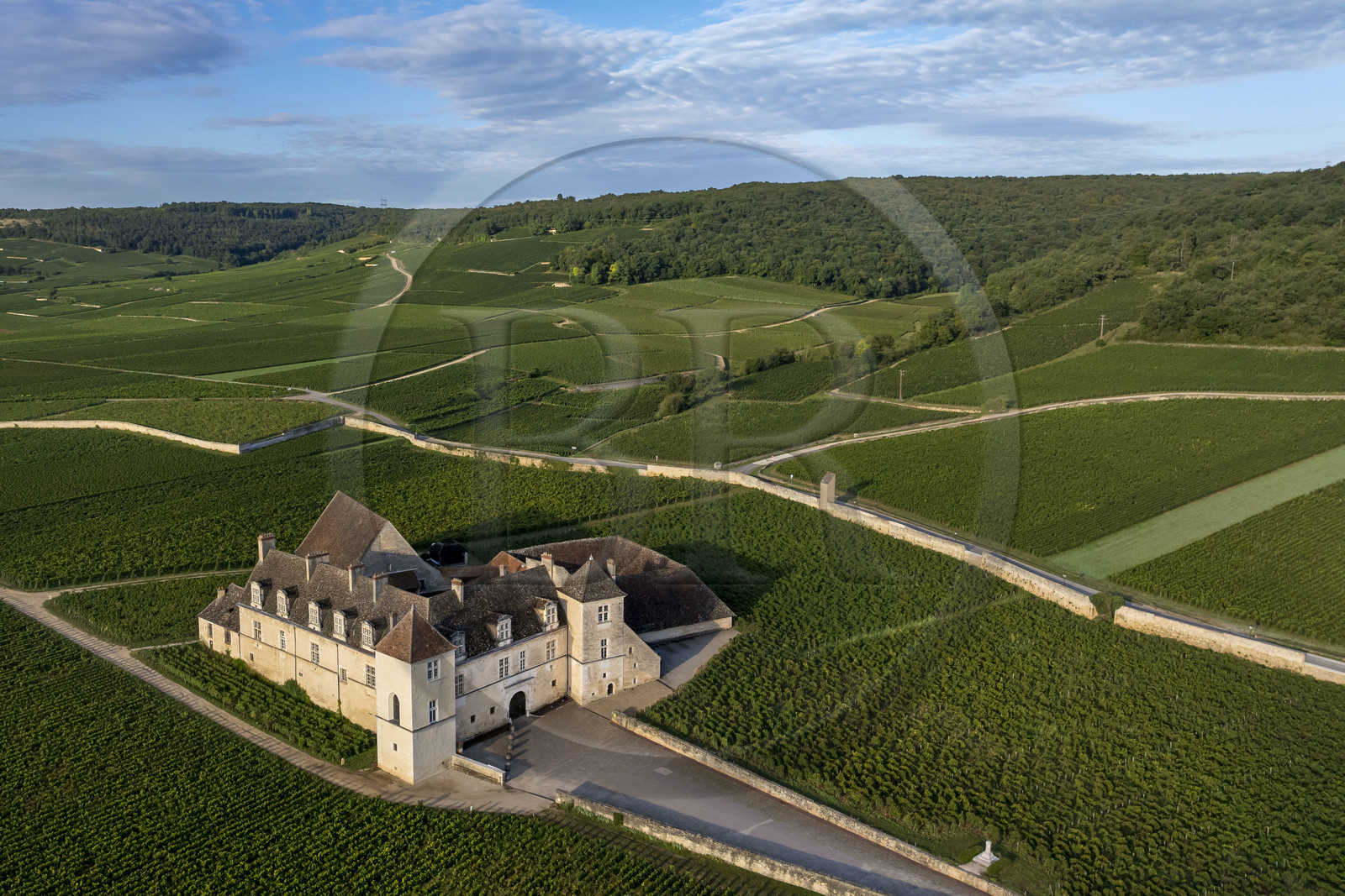 France, Côte-d'Or (21), Paysage culturel des climats de Bourgogne classés Patrimoine Mondial de l'UNESCO, Route des Grands Crus, vignoble de la Côte de Nuits, Vougeot, le Chateau du Clos de Vougeot entouré par le vignoble (vue aérienne)