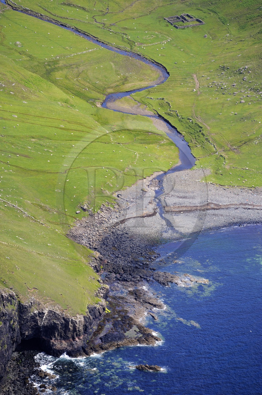 United Kingdom, Scotland, Highland, Inner Hebrides, Isle of Skye, sheep by the sea of the north-west coast south of Ramasaig (aerial view)