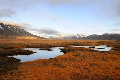 Norway, Svalbard (Spitzbergen), tundra in the region of Longyearbyen