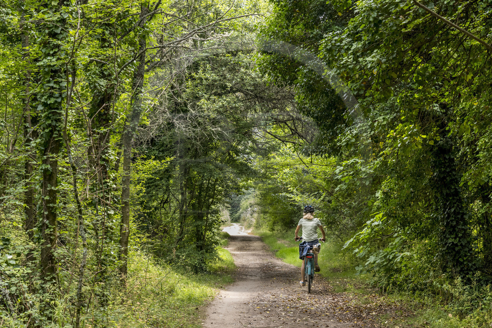 France, Morbihan (56), Ile de Groix, cycliste sur le chemin qui mène au Trou de l'Enfer