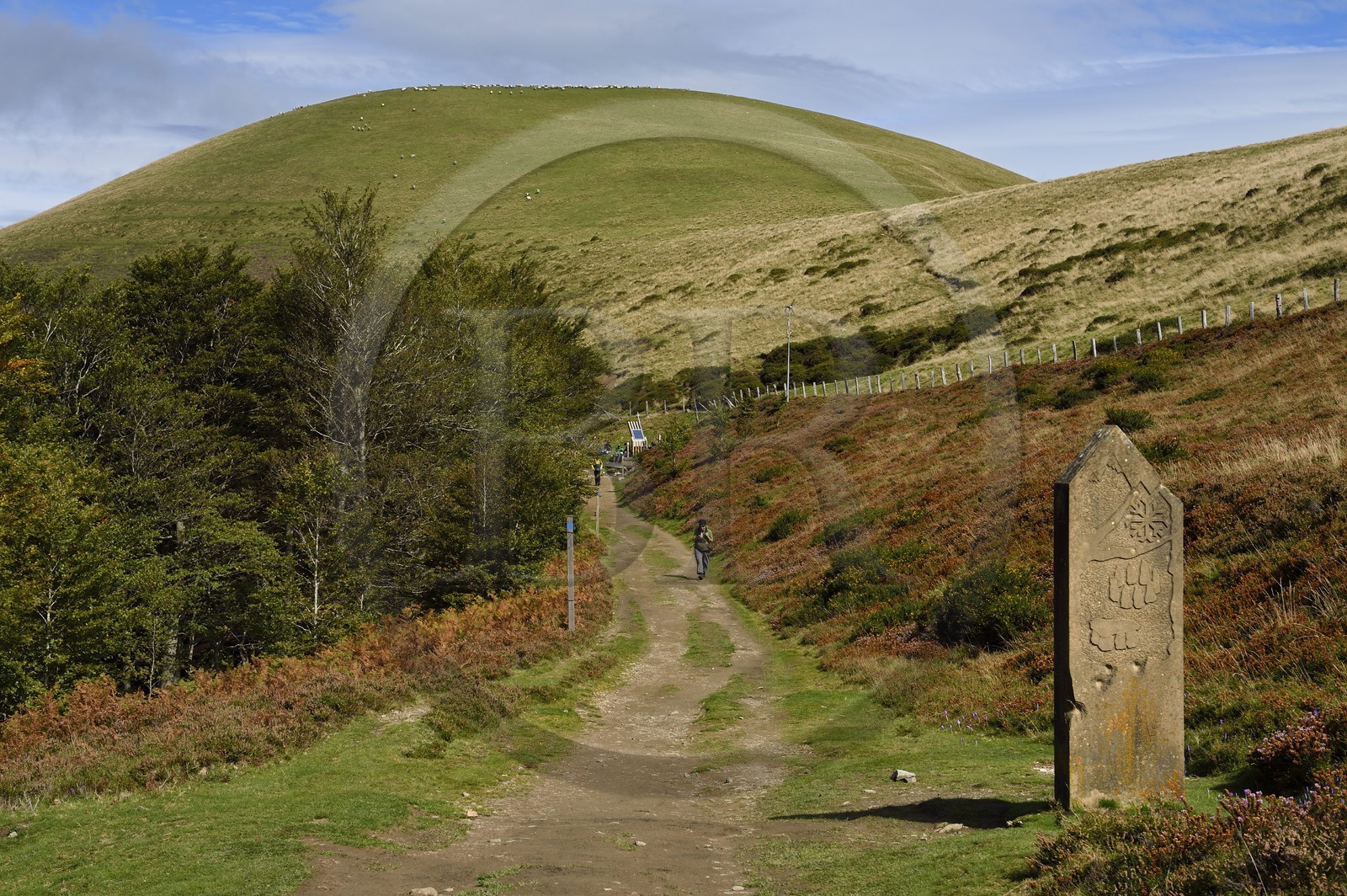 France, Pyrénées-Atlantiques (64), Pays-Basque, chemin de Saint-Jacques de Compostelle sur le GR 65 entre Saint-Jean-Pied-de-Port et Roncevaux vers le col de Bentarte, borne frontière entre Navarre en Espagne et Basse-Navarre en France