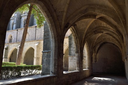 France, Var (83), Provence Verte, Saint-Maximin-la-Sainte-Baume, le cloitre de la basilique Sainte Madeleine