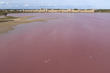 France, Gard, Aigues Mortes, the medieval town surrounded by its ramparts on the edge of the salt marshes (Salins du Midi) (aerial view)
