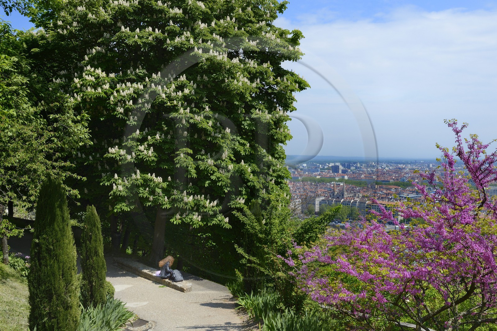 France, Rhône (69), Lyon, site historique classé Patrimoine Mondial de l'UNESCO, le jardin du Rosaire en contrebas de la Basilique Notre Dame de Fourvière