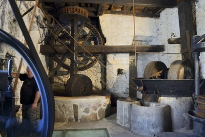 France, Corse du Sud, Alta Rocca, Sainte-Lucie-de-Tallano (Santa Lucia di Tallà), U Franghjonu, olive oil mill dating from the eighteenth century which houses the Museum of olive