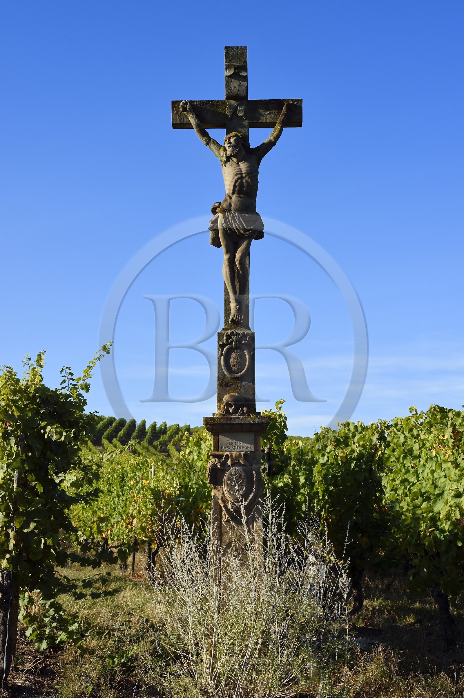 France, Bas Rhin, the Alsace Wine Route, Nothalten, Calvary in the vineyard of the Grand Cru Muenchberg
