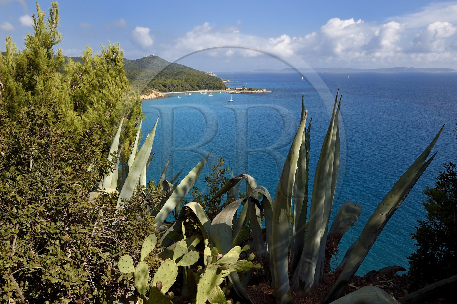 France, Var (83), Bormes les Mimosas, vu du Fort de Brégançon sur la Pointe de la Galère, en arrière plan à droite les Iles du Levant