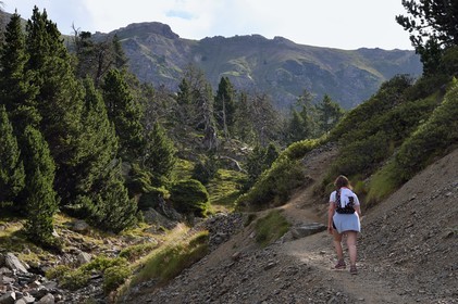 France, Hautes-Pyrénées (65), Saint-Lary-Soulan et Vielle-Aure, randonnée sur une variante du GR10 entre le col de Portet et les lacs de Bastan en bordure de la réserve naturelle de Néouvielle