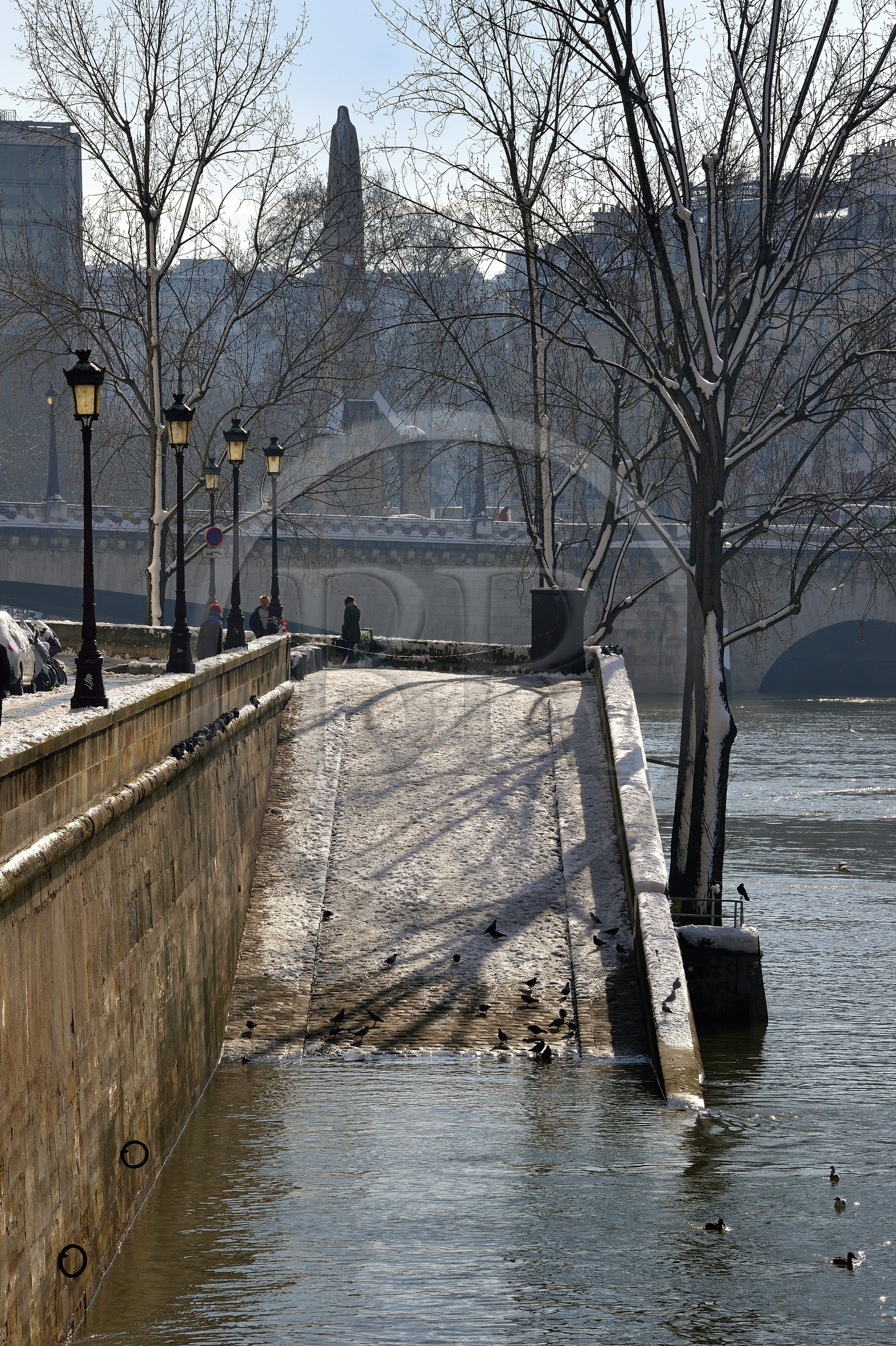 France, Paris (75), les rives de la Seine, classées Patrimoine Mondial de l'UNESCO, les bords de la Seine en crue sur l'Ile Saint-Louis sous la neige, le pont de la Tournelle en arrière plan