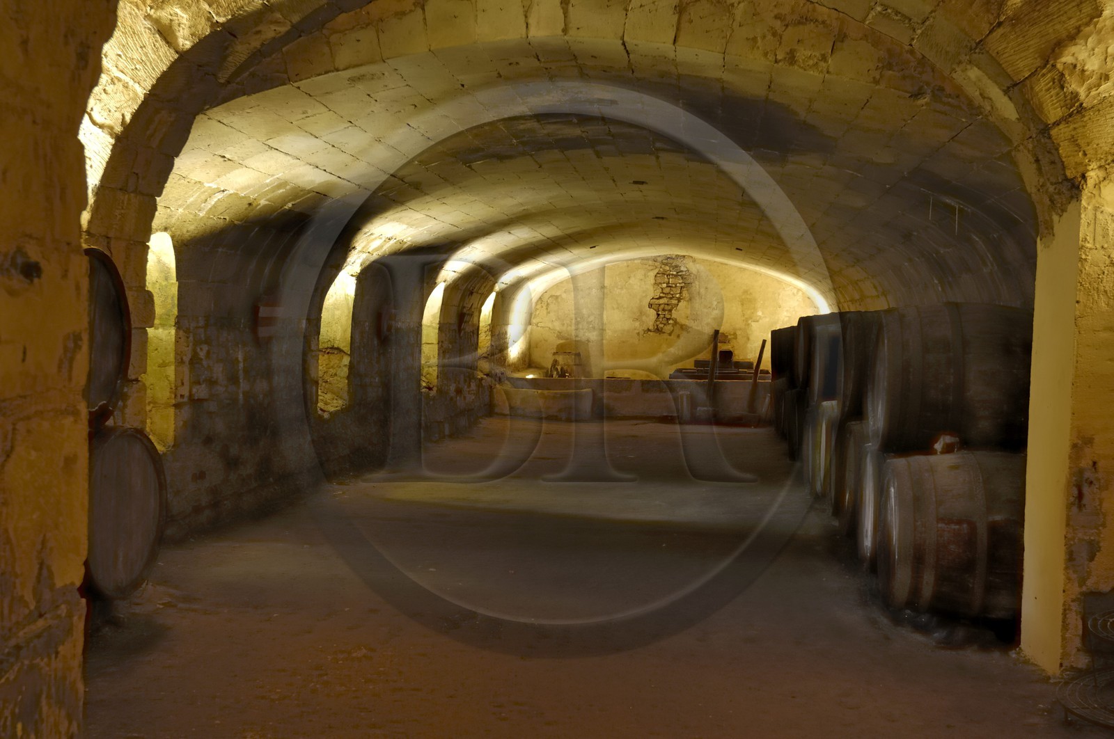 France, Maine et Loire (49), château de Montreuil-Bellay, les caves
