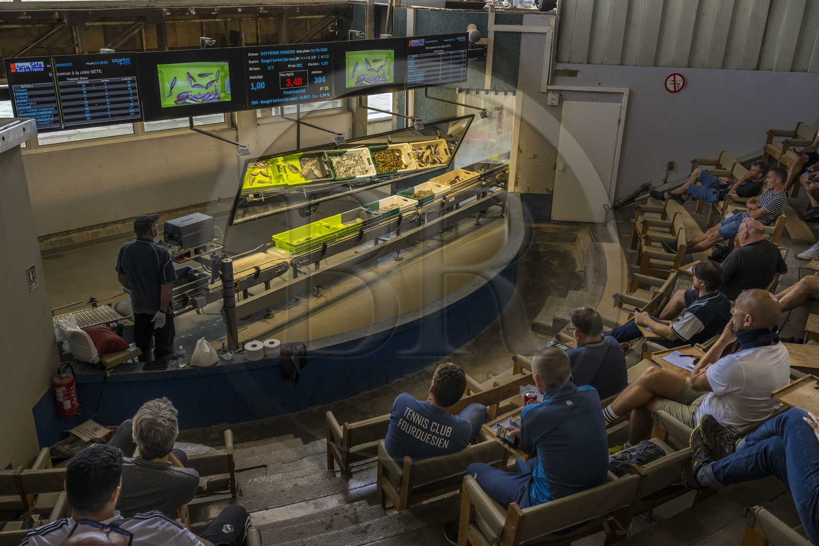 France, Hérault (34), Sète, Port de pêche, la criée aux poissons
