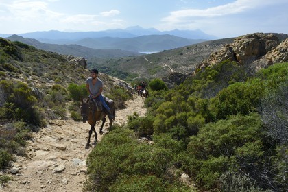 France, Haute Corse, Nebbio, riders trekking in the Agriates Desert