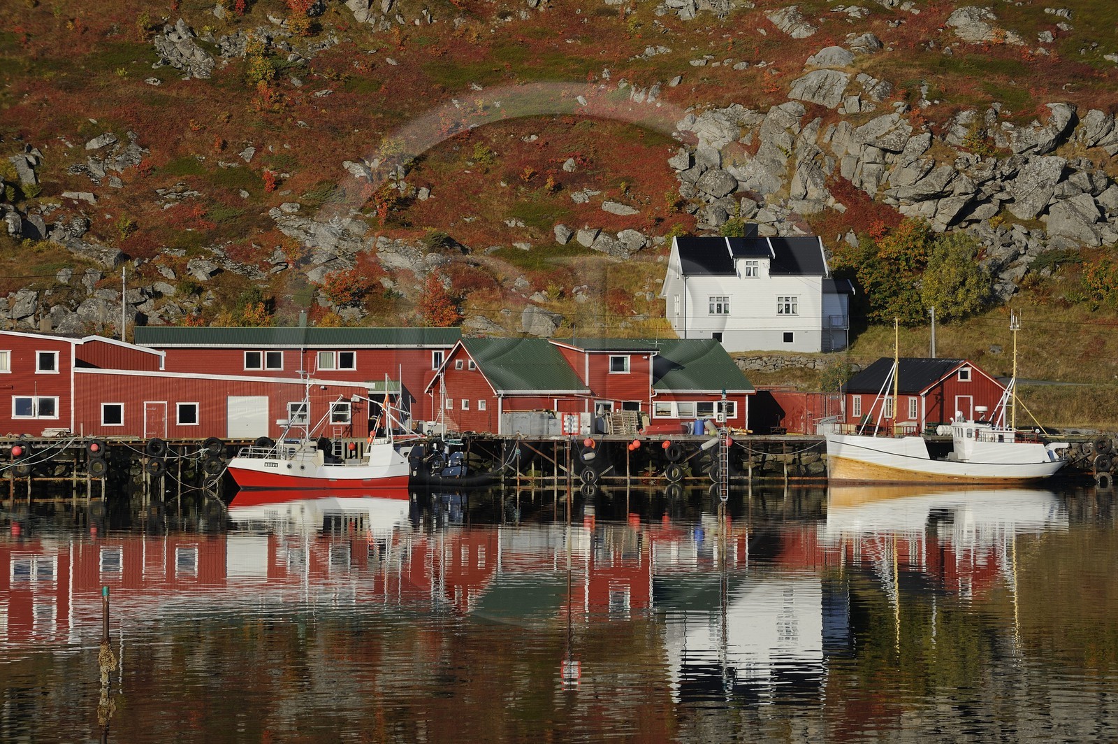 Norvège, Nordland, Iles Lofoten, port de pêche de Ballstad dans l'île de Vestvagoy