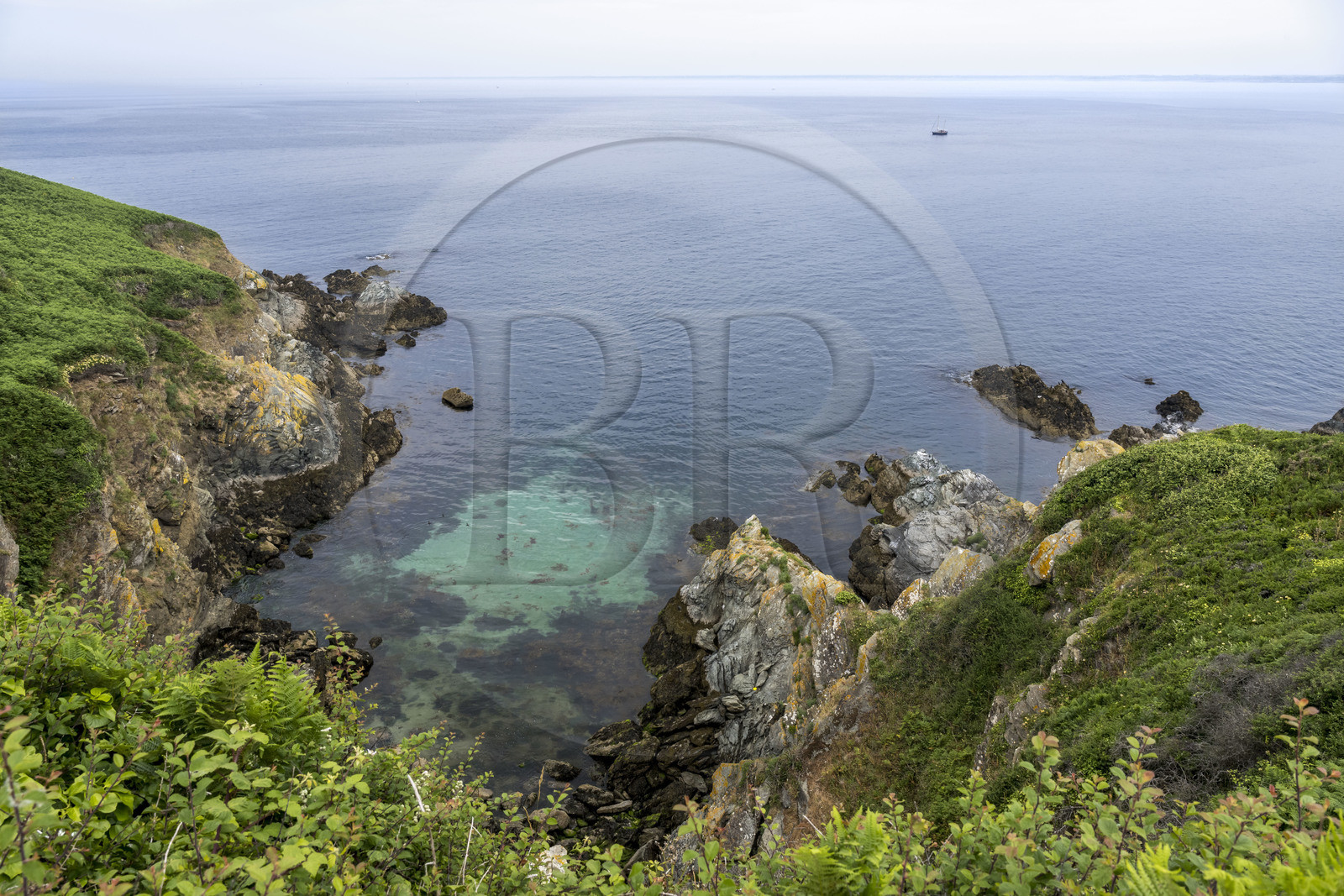 France, Morbihan (56), Ile de Groix, la réserve naturelle Francois Le Bail de la Pointe de Pen-Men