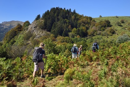 France, Cantal (15), Parc Naturel Régional des Volcans d'Auvergne, Laveissière, sur le chemin de Saint-Jacques de Compostelle par la Via Arverna, randonneurs sur les estives des pentes du Puy de Seycheuse, le Rocher du Bec de l'Aigle à gauche en arrière plan lointain