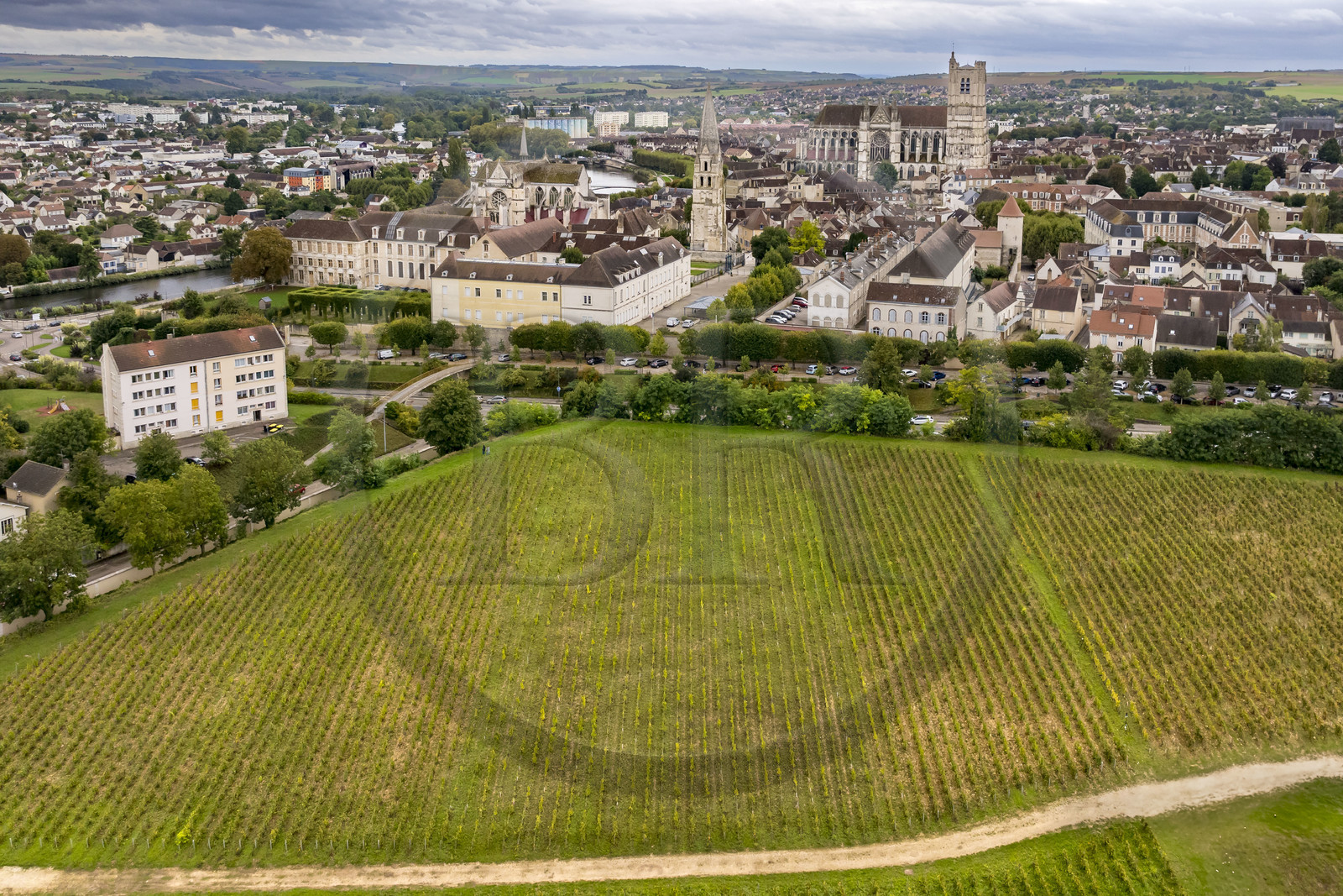 France, Yonne (89), Auxerre, vignes du Clos de la Chaînette (dans le centre hospitalier spécialisé de l'Yonne), l'abbaye Saint-Germain et la cathédrale Saint-Etienne en arrière plan (vue aérienne)