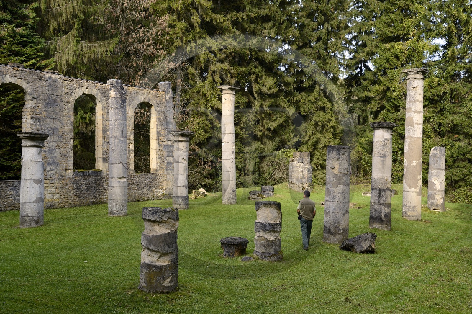 France, Meuse, Verdun region, battle of Verdun, the village of Ornes classified as mort pour la France (dead for France) is part of French villages destroyed in the First World War, church ruins