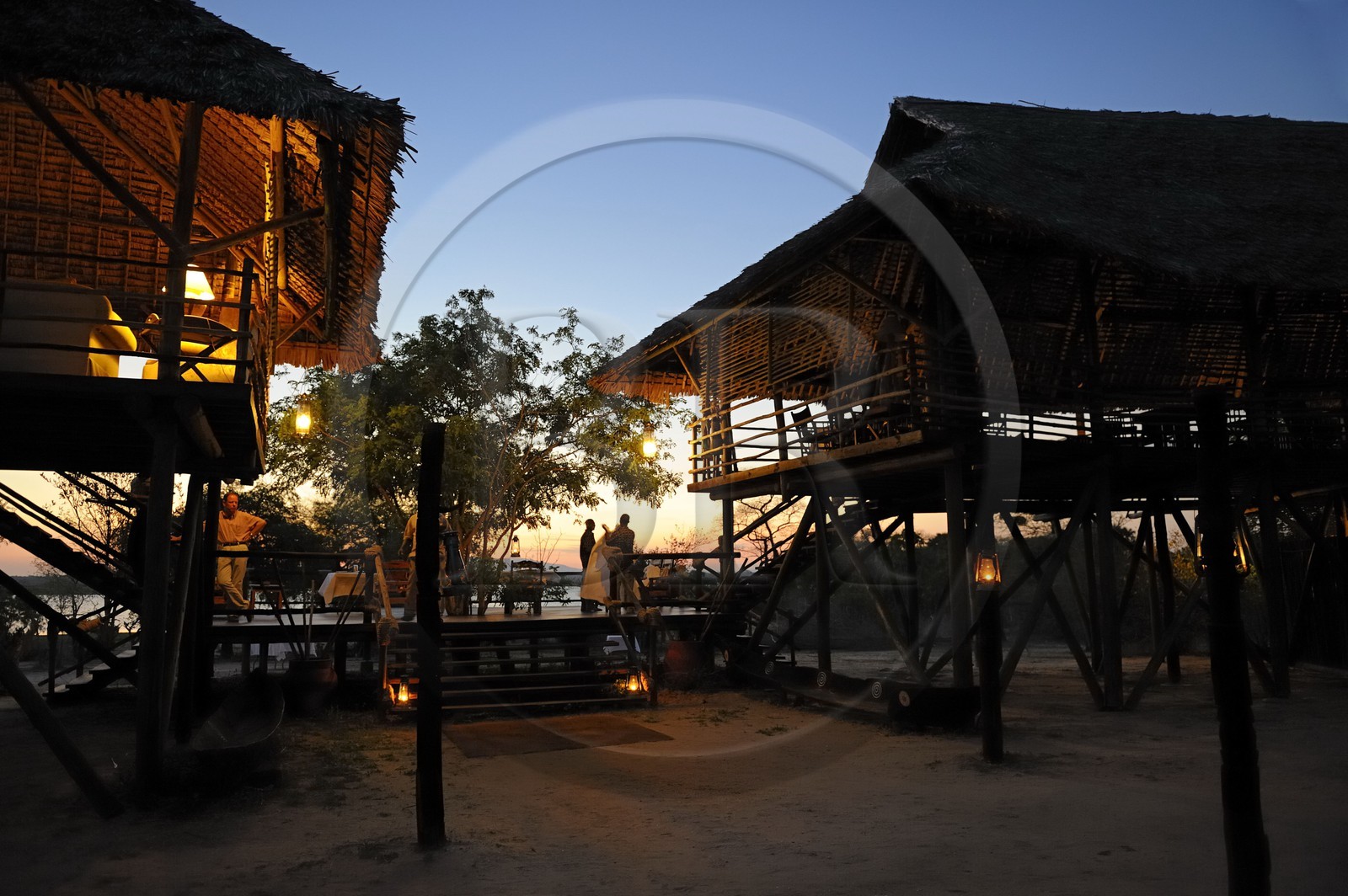 Tanzanie, Reserve de gibier de Selous une des plus grandes zones protégées au monde et inscrite sur la liste du patrimoine mondial de l’Unesco depuis 1982, le très exclusif Selous Camp, le bar et la salle à manger