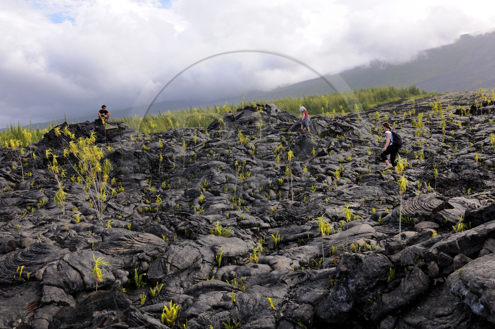 France, île de la Réunion, volcan du Piton de la Fournaise, classé Patrimoine Mondial de l'UNESCO, le Grand-Brûlé, coulée de lave de 2007