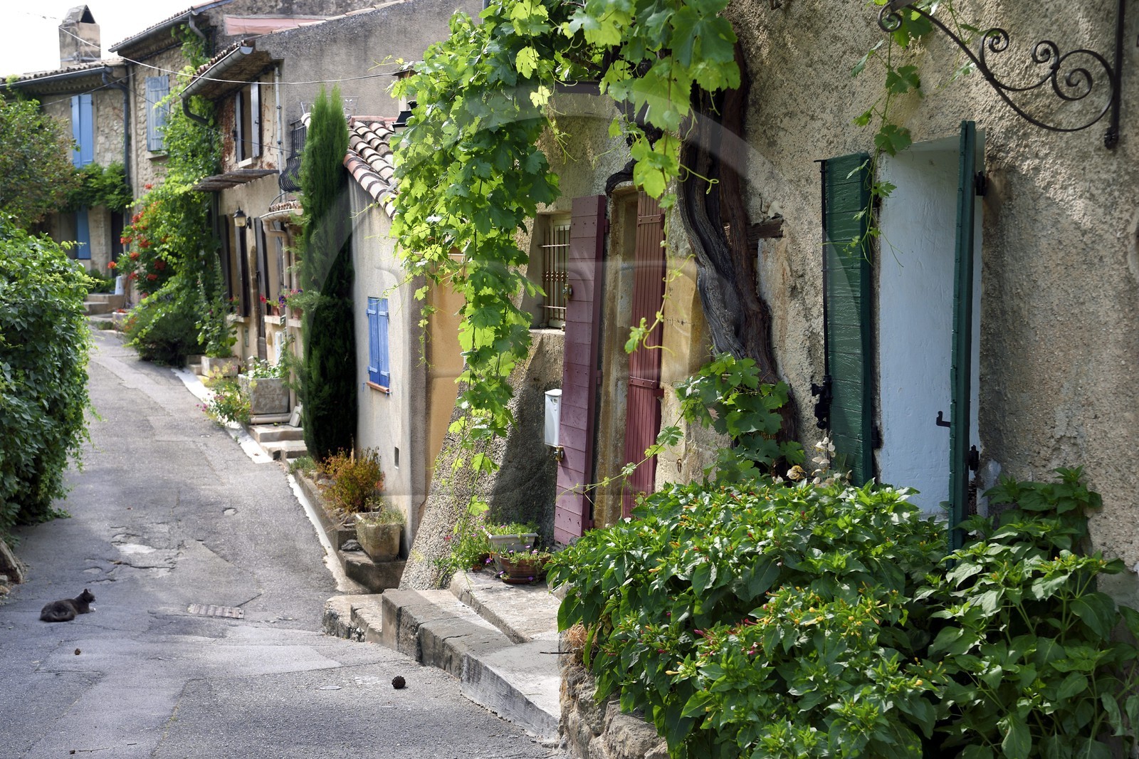 France, Vaucluse, Parc Naturel Regional du Luberon (Natural Regional Park of Luberon), Cucuron, labelled Les Plus Beaux Villages de France (The Most Beautiful Villages of France), an alley of the old town