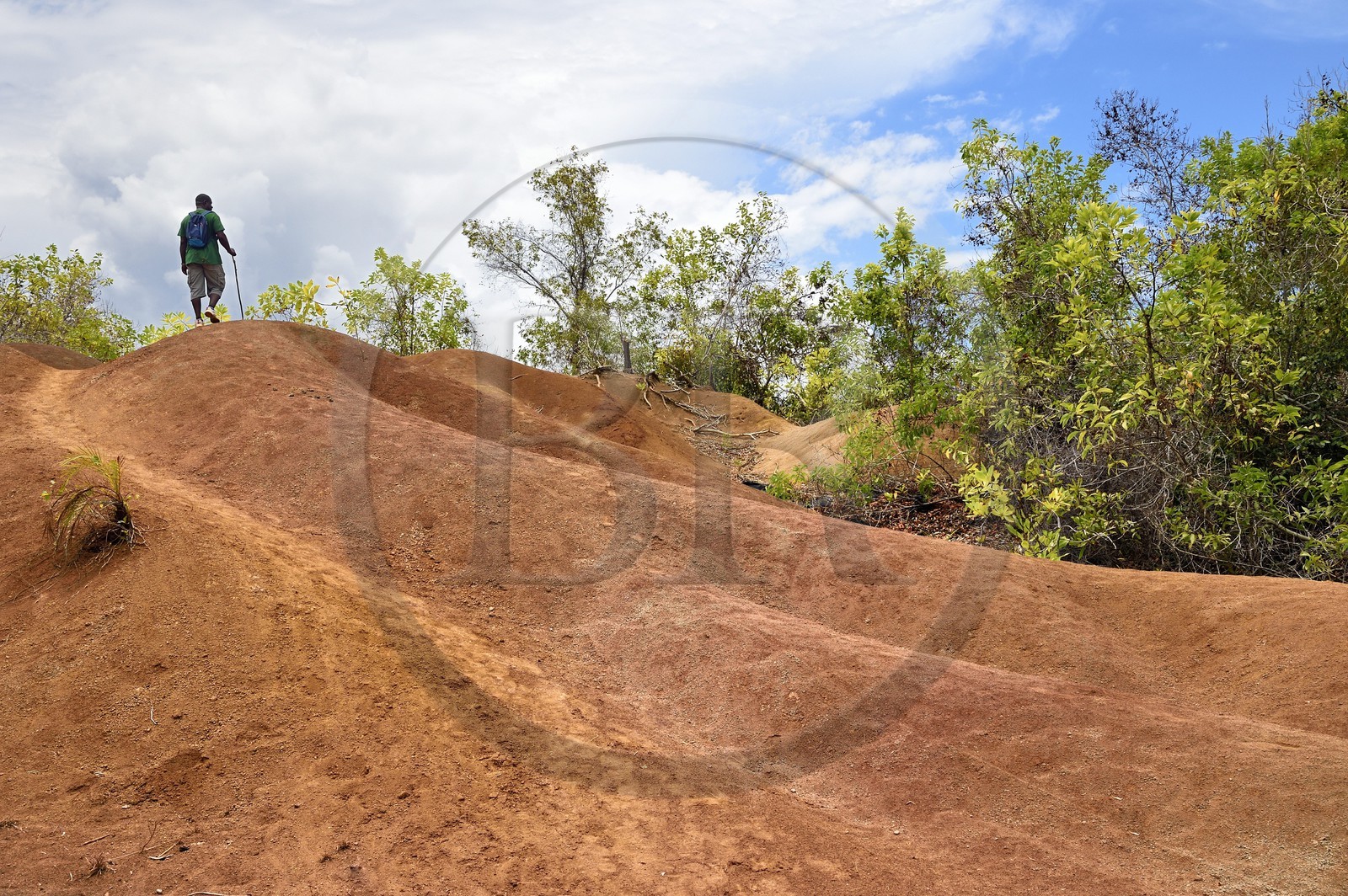 France, Ile de Mayotte, Grande-Terre, M'Tsamoudou, pointe de Saziley, randonneurs sur le sentier de grande randonnée faisant le tour de l'ile, Padza, zones déforestées, ravinées avec des sols rougeatres