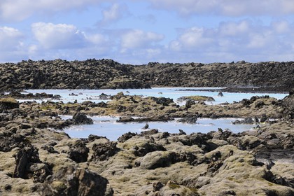 Iceland, Sudurnes Region, Grindavik, the Blue Lagoon