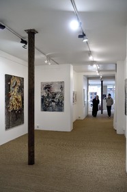 France, Paris, Galerie Schwab Beaubourg, galerie d'Art contemporain, exposition de l'artiste Emmanuelle Renard