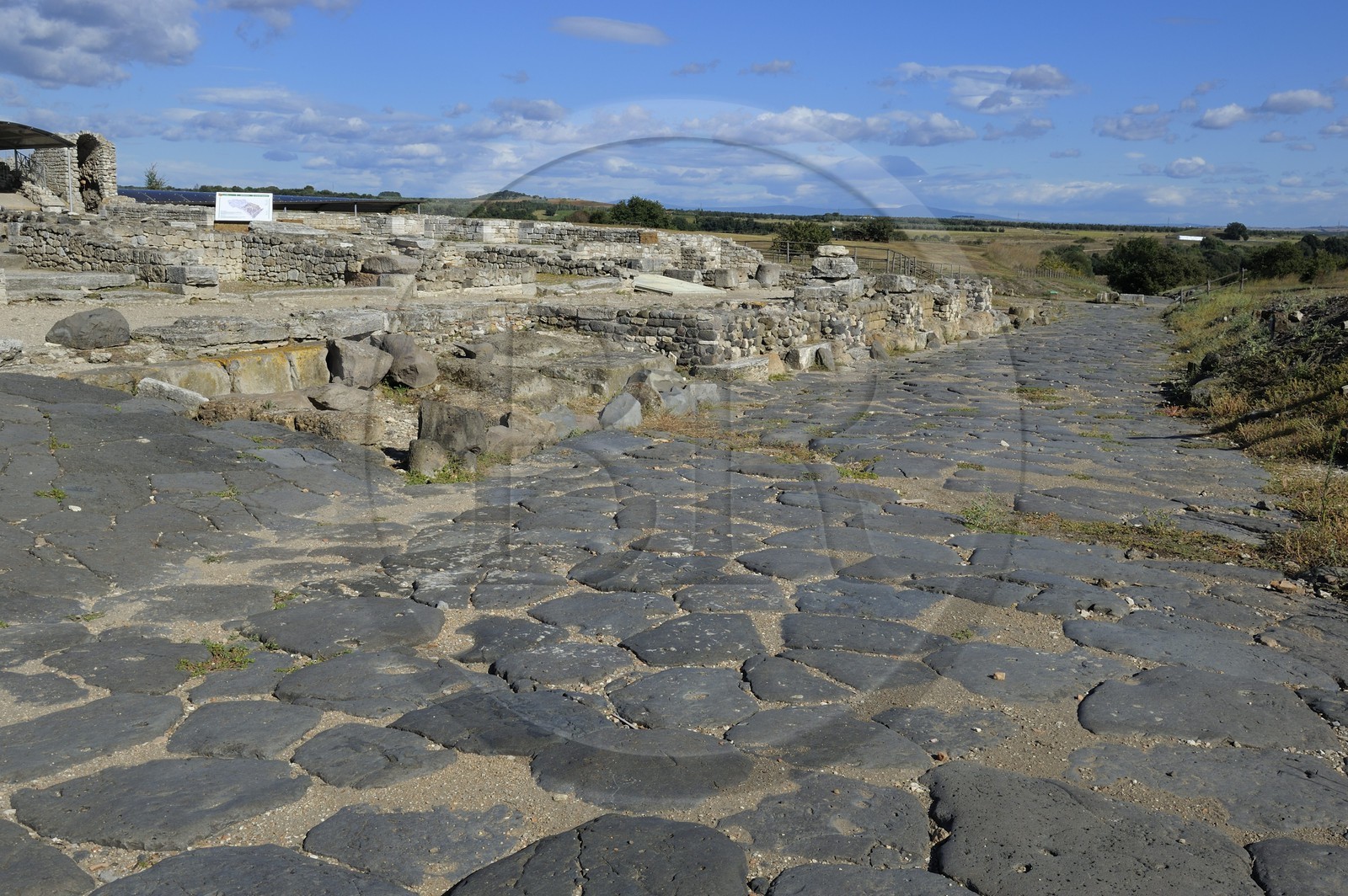 Italy, Lazio , Province of Viterbo, Montalto di Castro, ancient Etruscan city of Vulci, remnant of cobbled streets