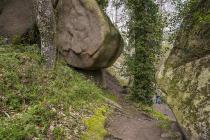 France, Cotes-d'Armor, Cote de Granit Rose, Trégastel, Valley of the Great Traouiero, hiking trail in the chaos of large granite rocks