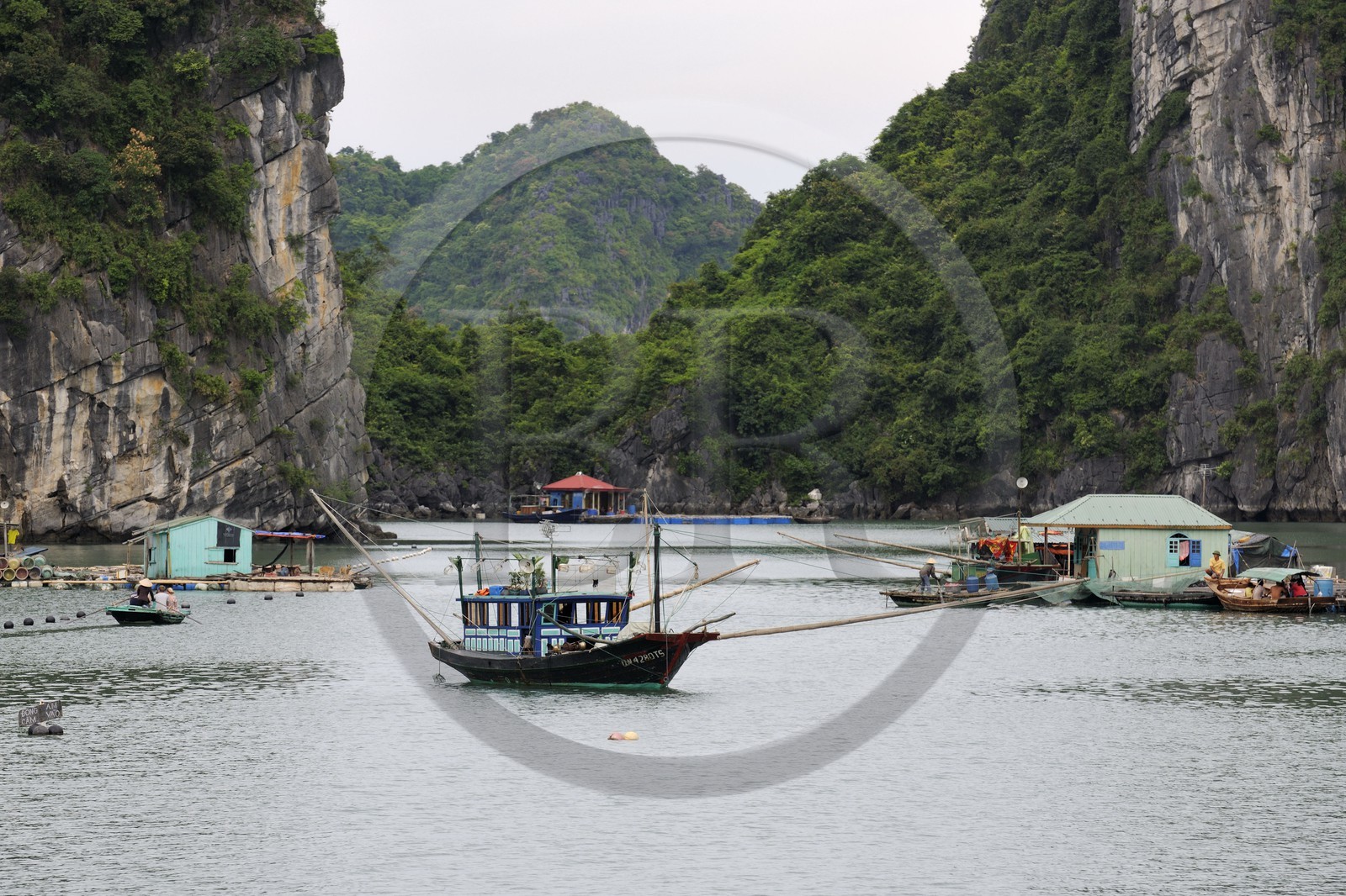 Vietnam, province de Quang Ninh, la Baie d'Halong classée Patrimoine Mondial de l'UNESCO, village flottant de pêcheurs de Vong Vieng